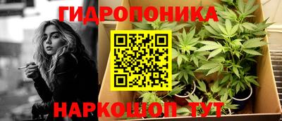бошки Камышлов