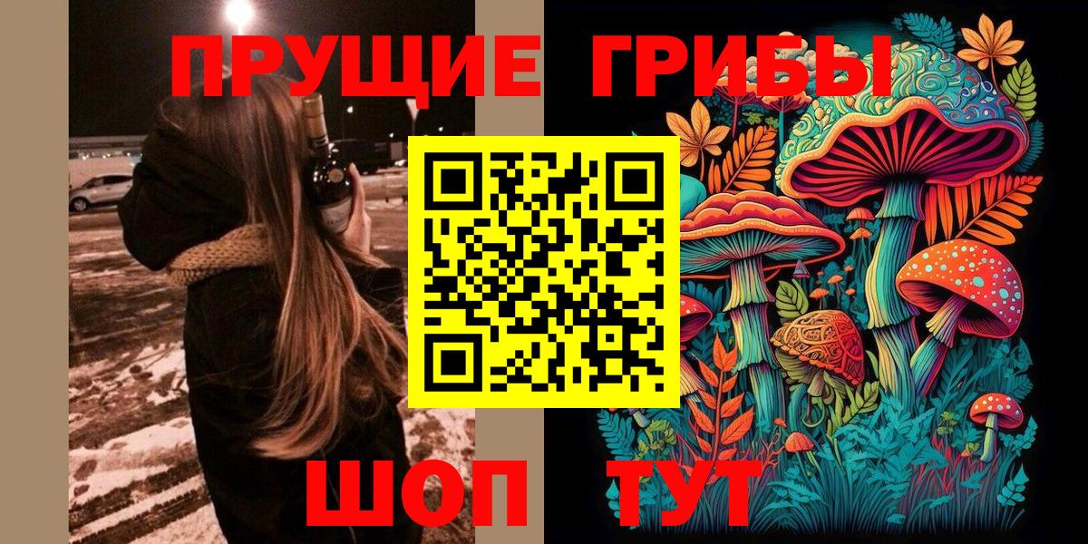 Галлюциногенные грибы Psilocybine cubensis Губаха