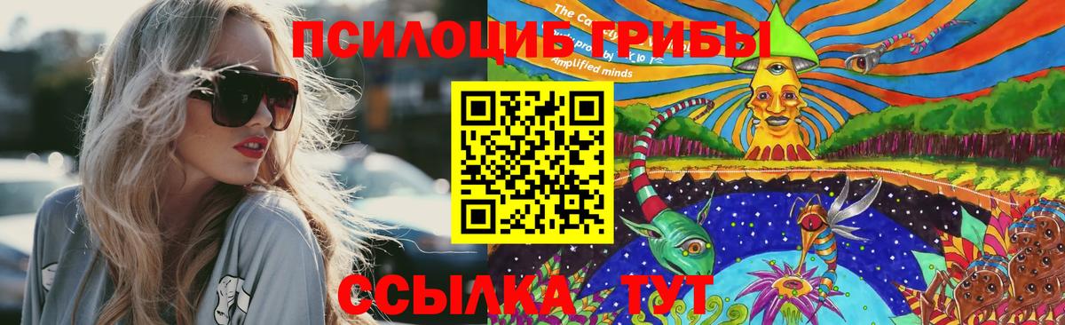 Губаха  Псилоцибиновые грибы MAGIC MUSHROOMS  сколько стоит  Вход с VPN 